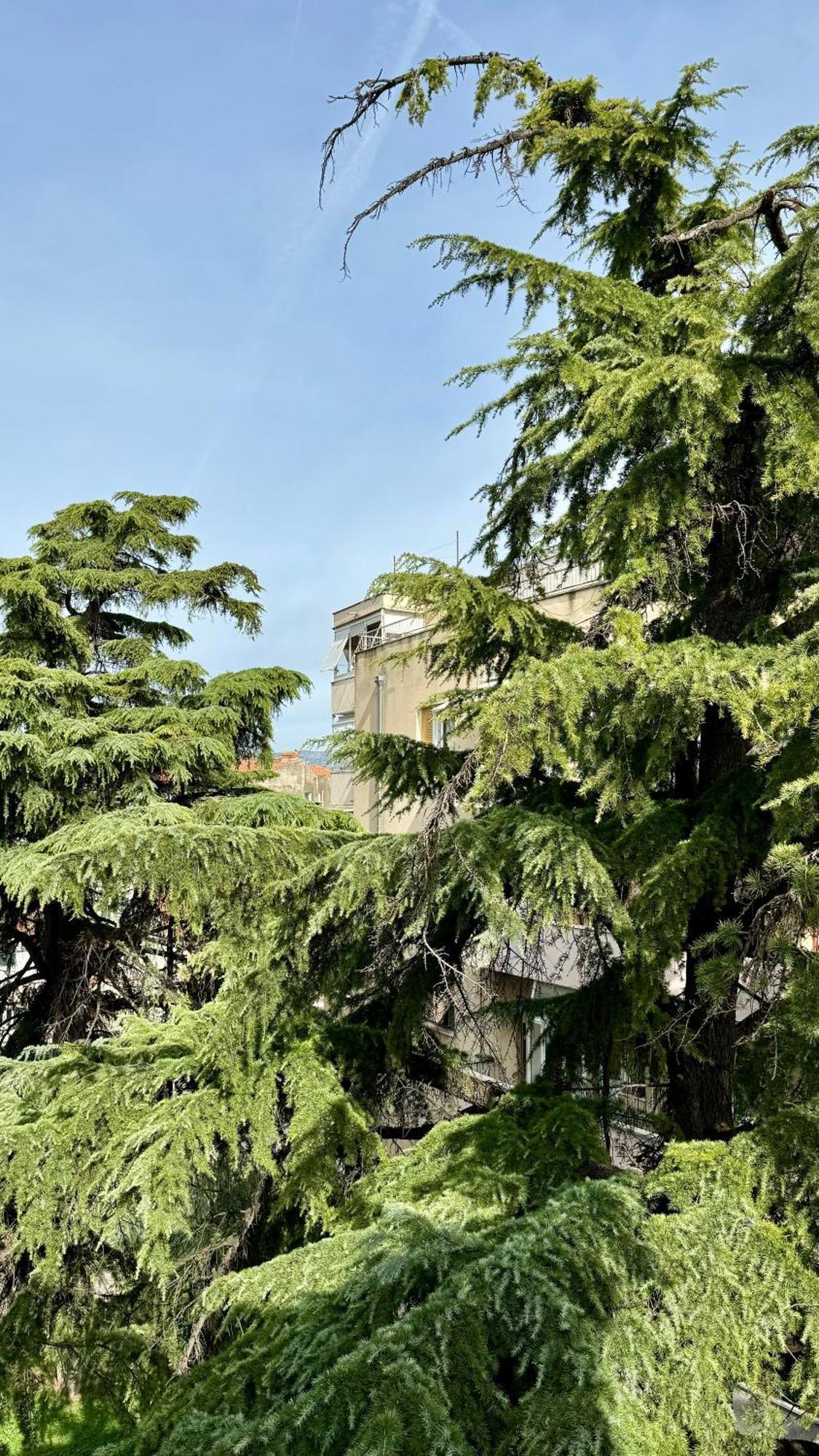 Jardin Rooms Split Exteriér fotografie